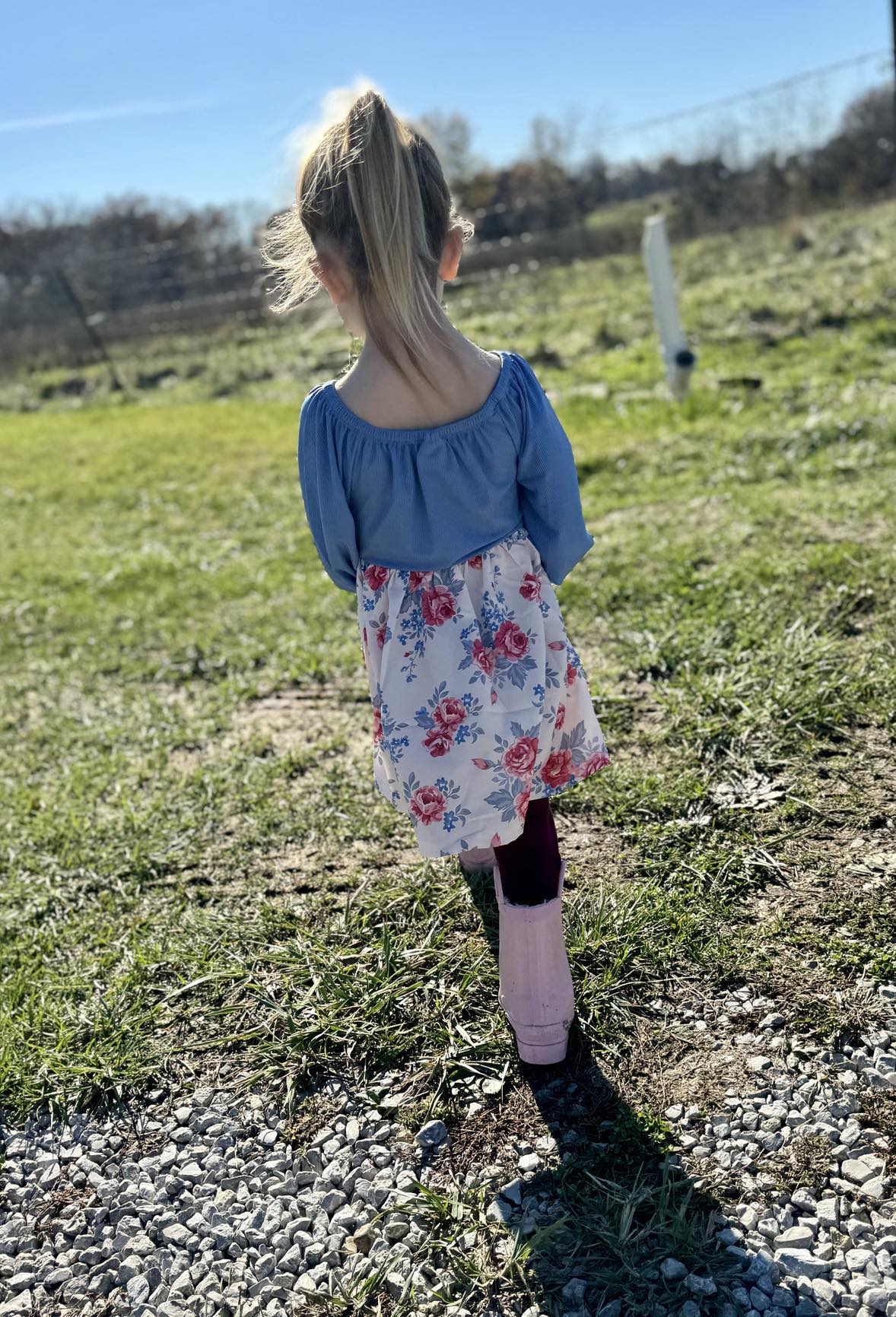 Blue/Rose Girls Twirl Dress